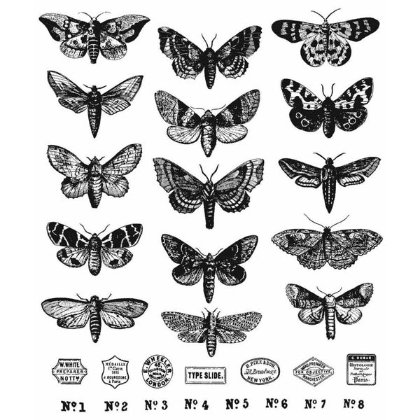 Tim Holtz Cling Stamps 7"X8.5" Moth Study