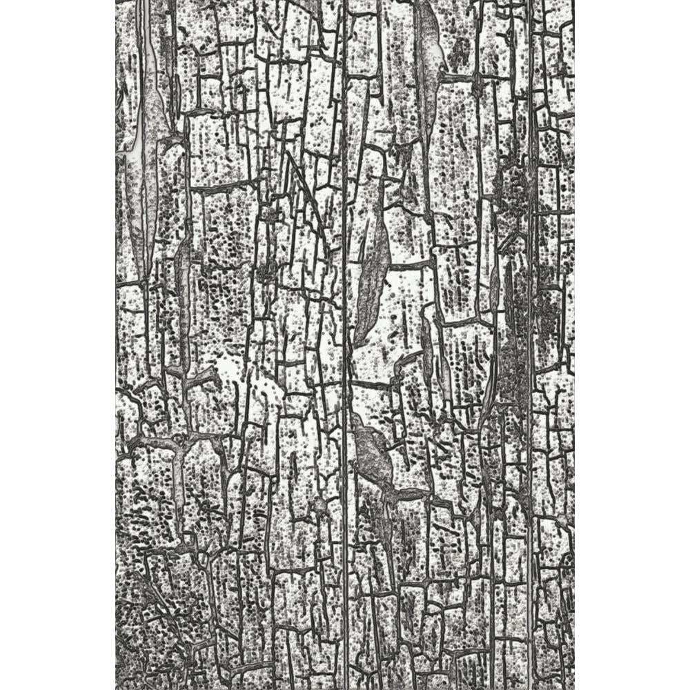 Sizzix 3D Texture Fades Embossing Folder By Tim Holtz - Cracked