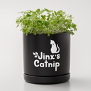 Cricut Joy Xtra Smart Vinyl™ – Removable (3 ft)