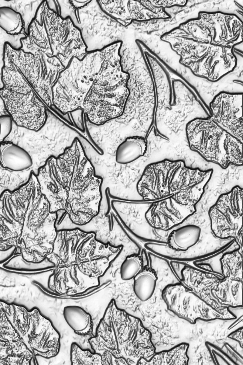 Acorns by Tim H - Sizzix 3-D Texture Fades Embossing Folder