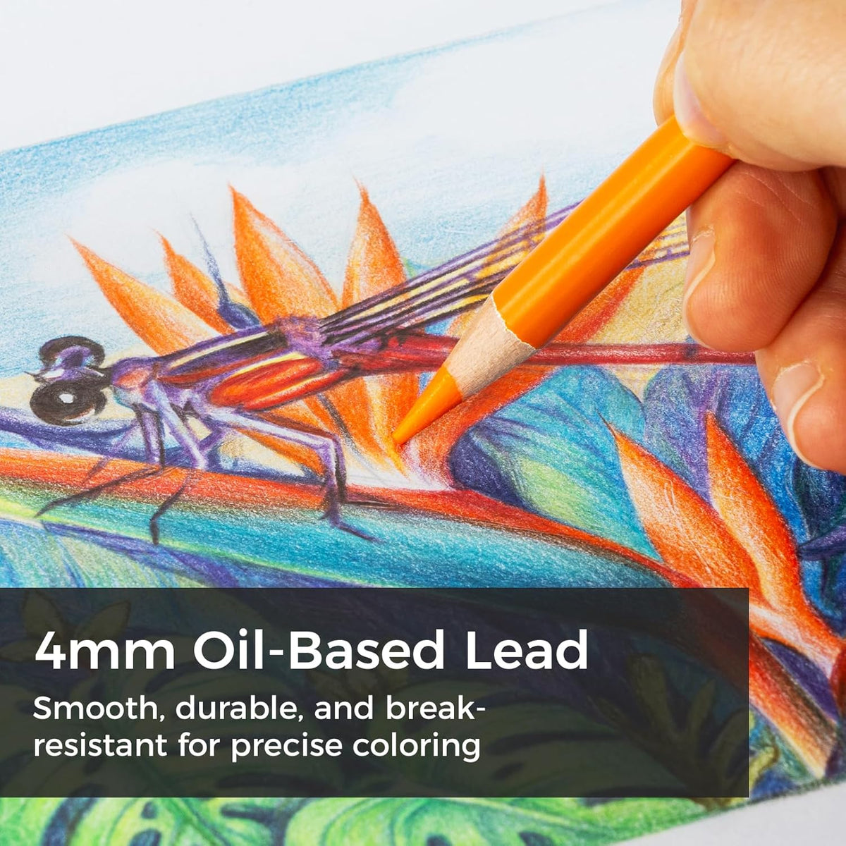 Ohuhu Halawa Series 72 Colors Oil-based Colored Pencils Y30-80200-08