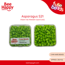 Kindli Fuse Beads Primary Refill By Bee Happy