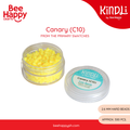 Kindli Mini Fuse Beads Primary Colors Refill 2.6mm (500pcs) by Bee Happy