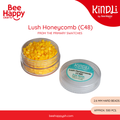 Kindli Mini Fuse Beads Primary Colors Refill 2.6mm (500pcs) by Bee Happy