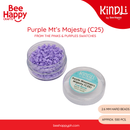Kindli Mini Fuse Beads Refill by Bee Happy – Pinks and Purples + Blues and Greens (2.6mm beads , 500pcs)