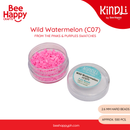 Kindli Mini Fuse Beads Refill by Bee Happy – Pinks and Purples + Blues and Greens (2.6mm beads , 500pcs)