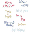Sizzix Thinlits Die Set 14PK - Variety Sentiments