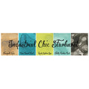 Lindy's Stamp Gang Starburst Sprays 2oz 5/Pkg