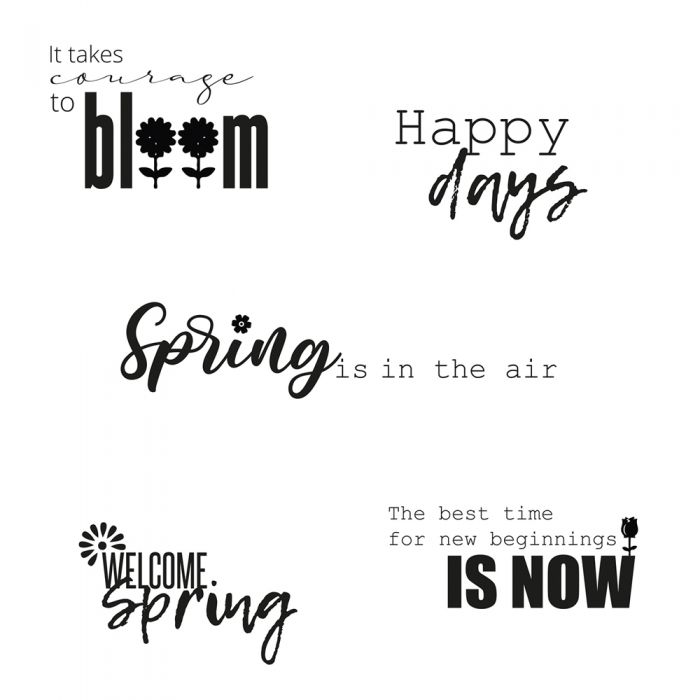 Sizzix Clear Stamps Set 5PK - Spring Sentiments by Lisa Jones