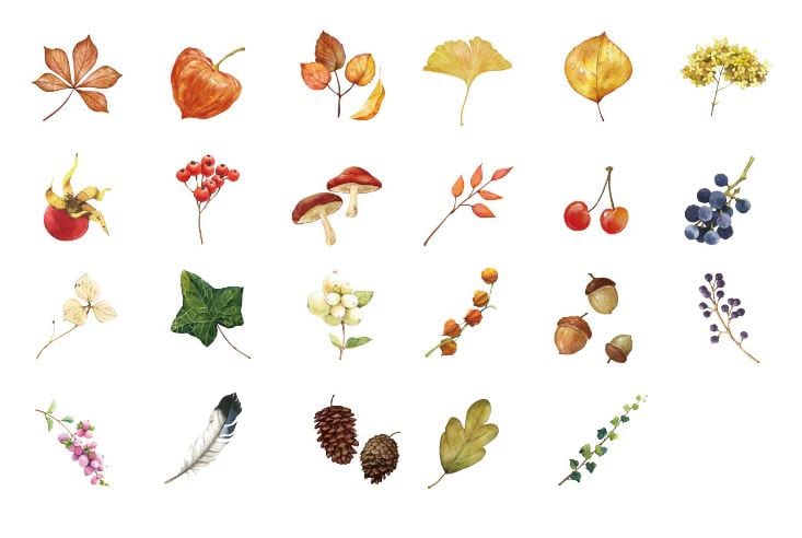 MoCard Acorns, Leaves and More Sticker Flakes in a Box