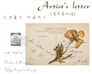 Artist's Letters Vintage Postcards (30pcs)