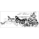 Kaisercraft Botanical Clear Stamps 2"X5"