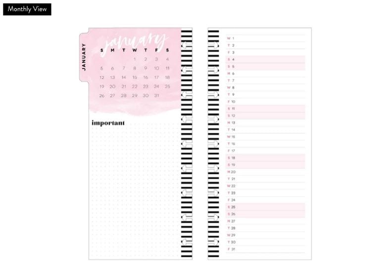 Me and My Big Ideas Bright Days Ahead 2020 Skinny Classic Happy Planner x Rongrong