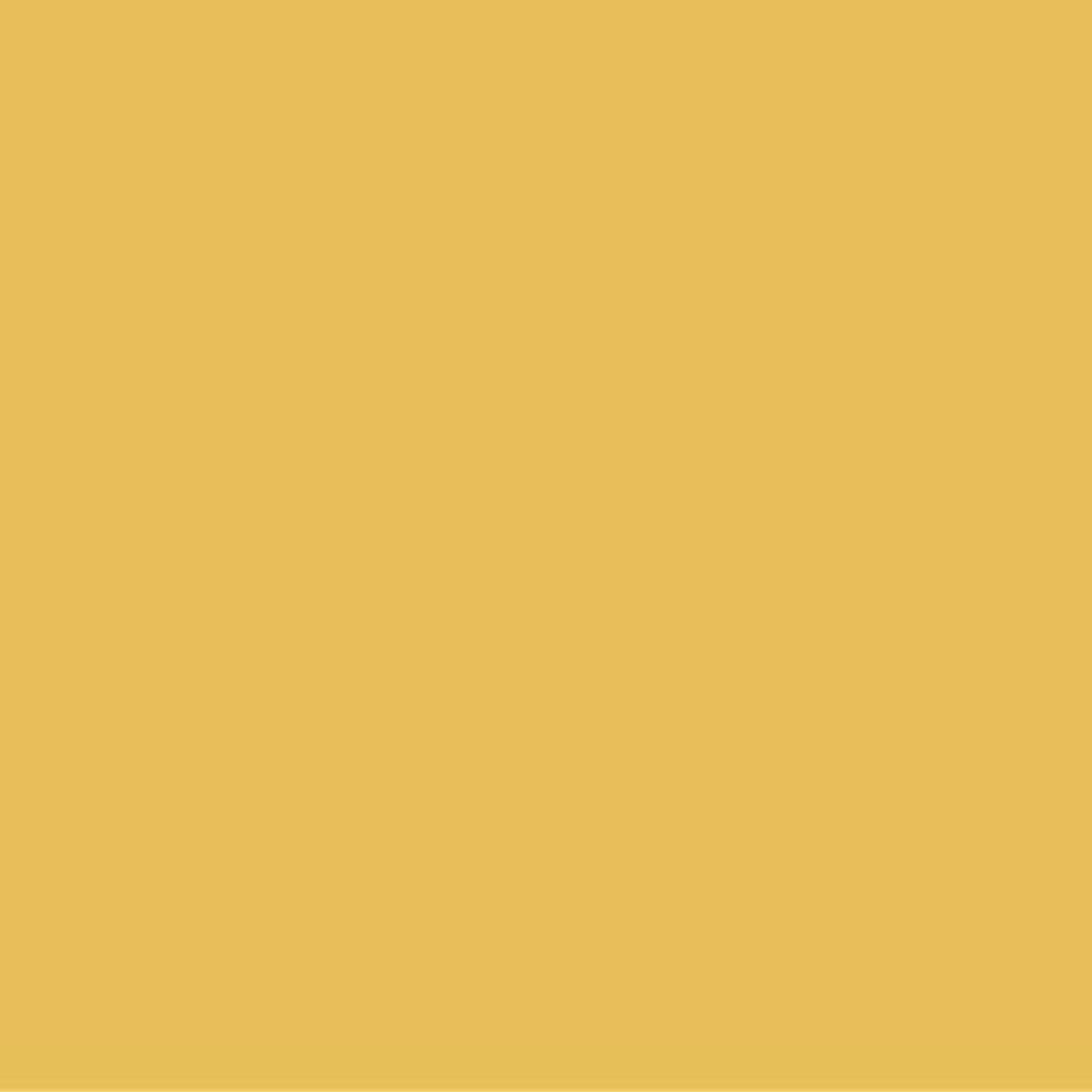 Bee Happy Solid Colors Sublimation Ink Transfer Sheets 12