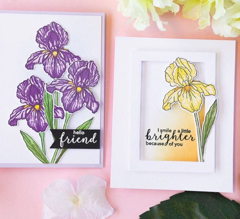 Hero Arts Color Layering Stamp Set CM318