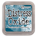 Ranger Distress Oxide Ink Pad (Option 3)