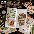 MoCard Encyclopedia of All Things Sticker Flakes (60pcs)