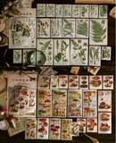 MoCard Encyclopedia of All Things Sticker Flakes (60pcs)