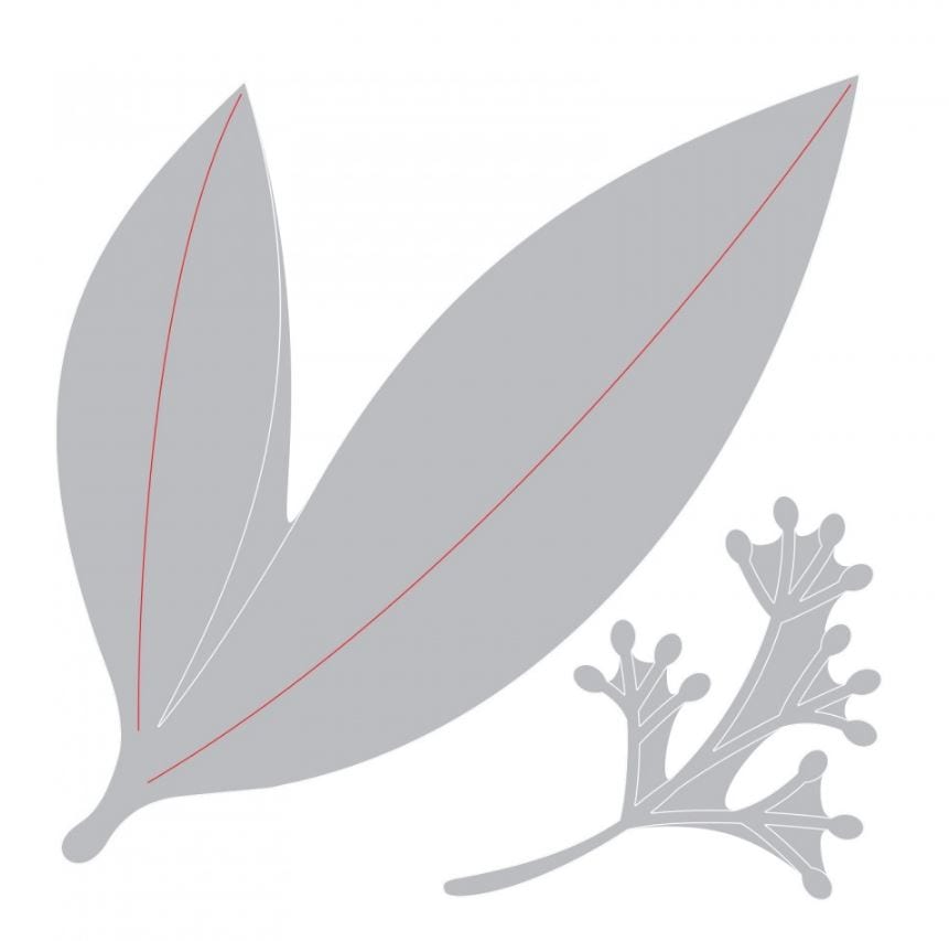 Sizzix Framelits Dies By David Tutera - Eucalyptus