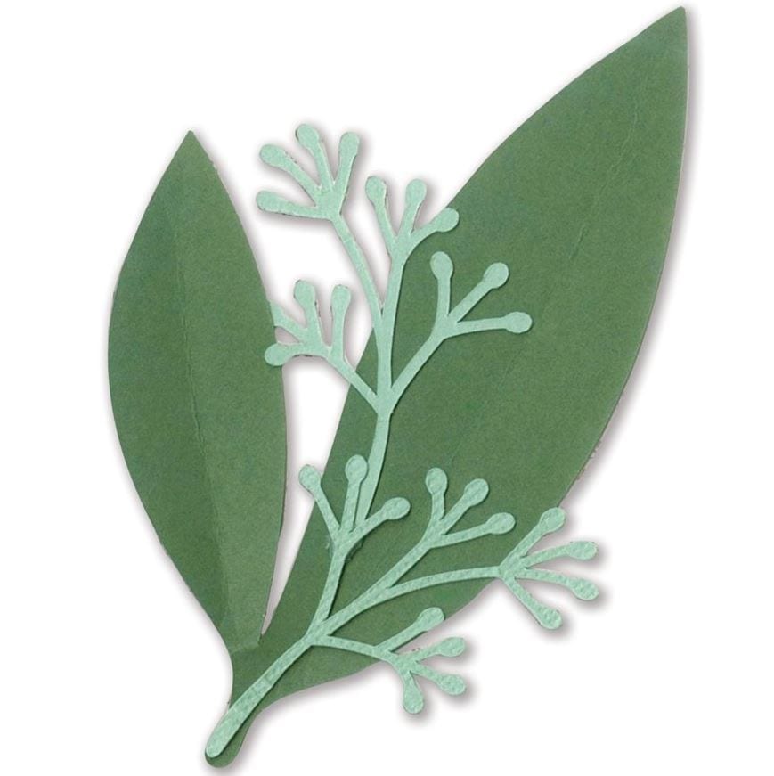 Sizzix Framelits Dies By David Tutera - Eucalyptus