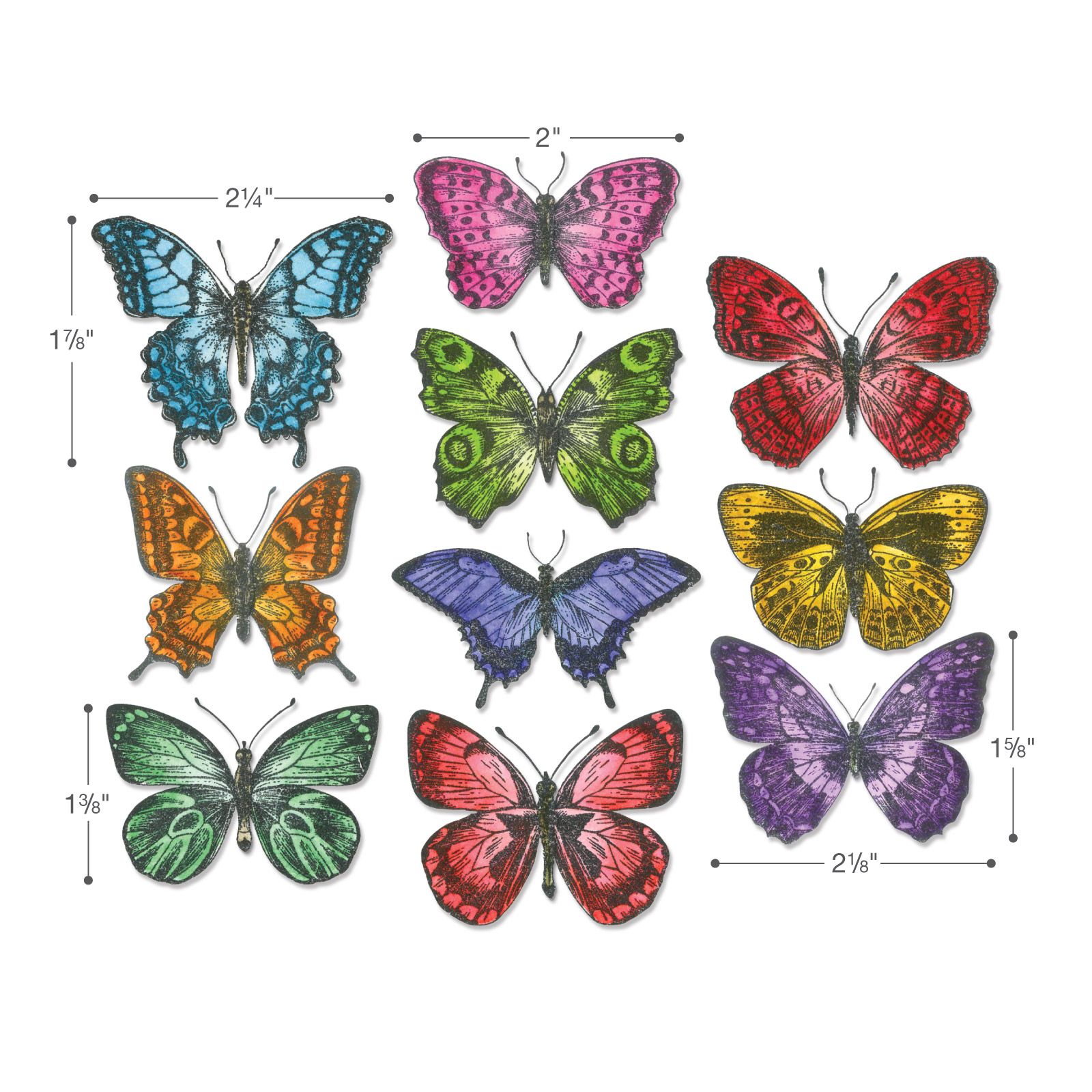 Sizzix Framelits Flutter Die Set by Tim Holtz