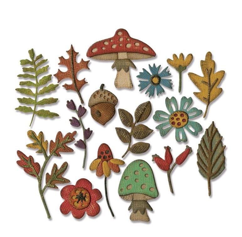 Funky Foliage Thinlits Die Set 20PK by Tim Holtz
