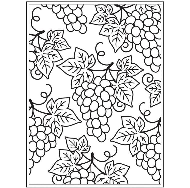 Darice Grapes Embossing Folder