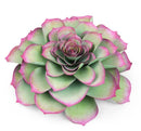 Sizzix Large Succulent Framelits Dies By David Tutera