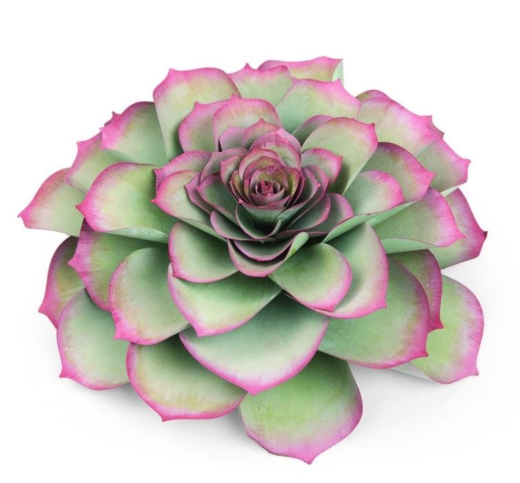 sizzix succulent dies Sizzix Large Succulent Framelits Dies By David Tutera