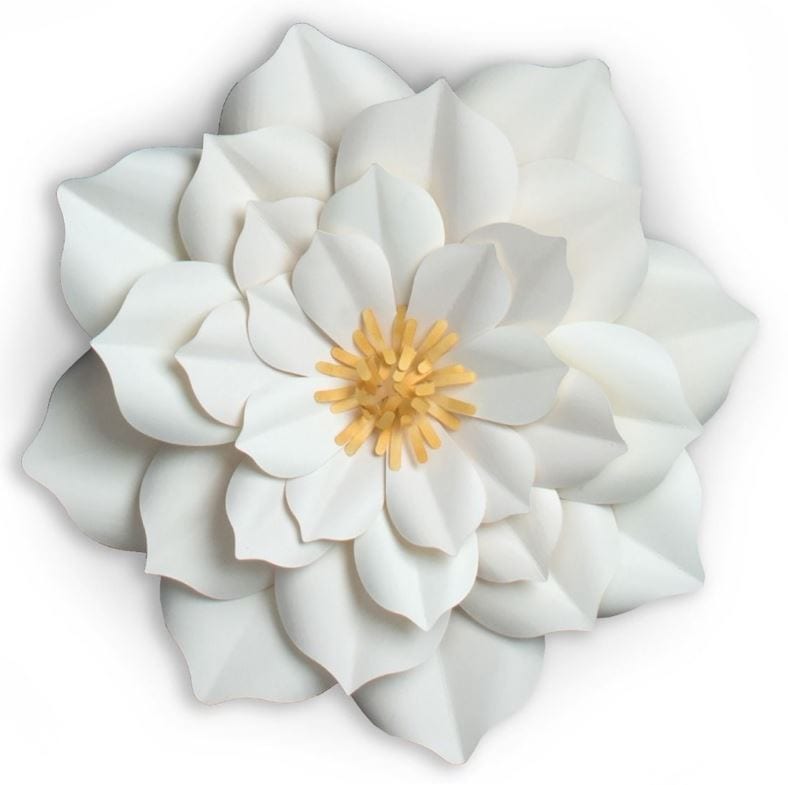 Sizzix Large Lily Framelits Dies By David Tutera