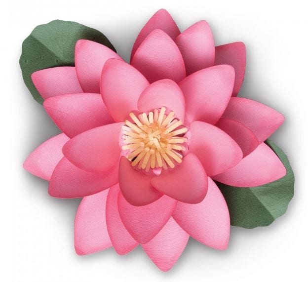 Sizzix Large Lotus Framelits Dies By David Tutera