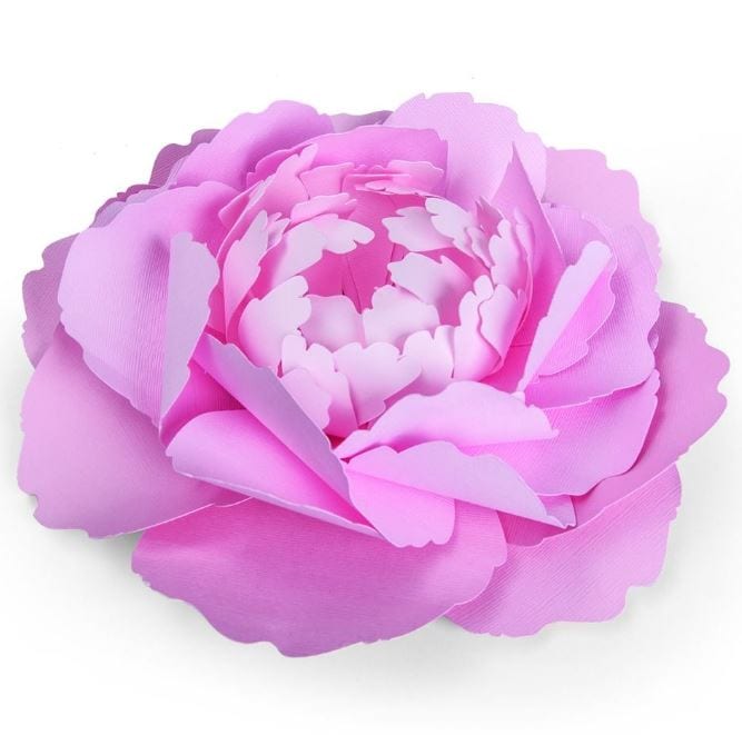 Sizzix Large Peony Framelits Dies By David Tutera