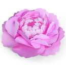 Sizzix Large Peony Framelits Dies By David Tutera