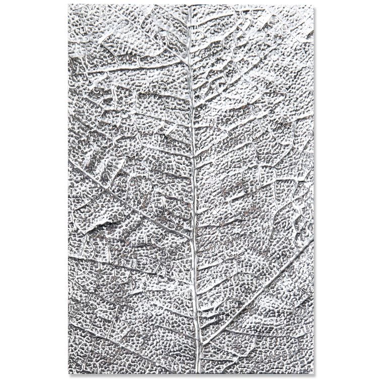 Sizzix Leaf Veins 3-D Textured Impressions Embossing Folder