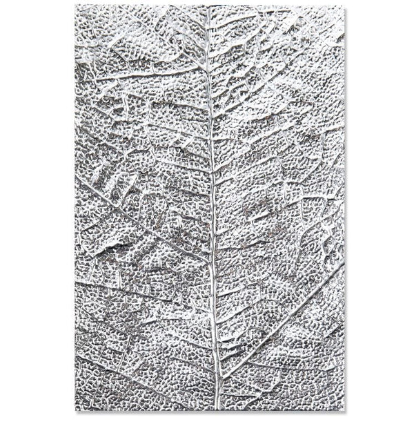 Sizzix Leaf Veins 3-D Textured Impressions Embossing Folder