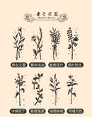 Infeel.Me Mika Garden Natural Series Rubber Stamp Set