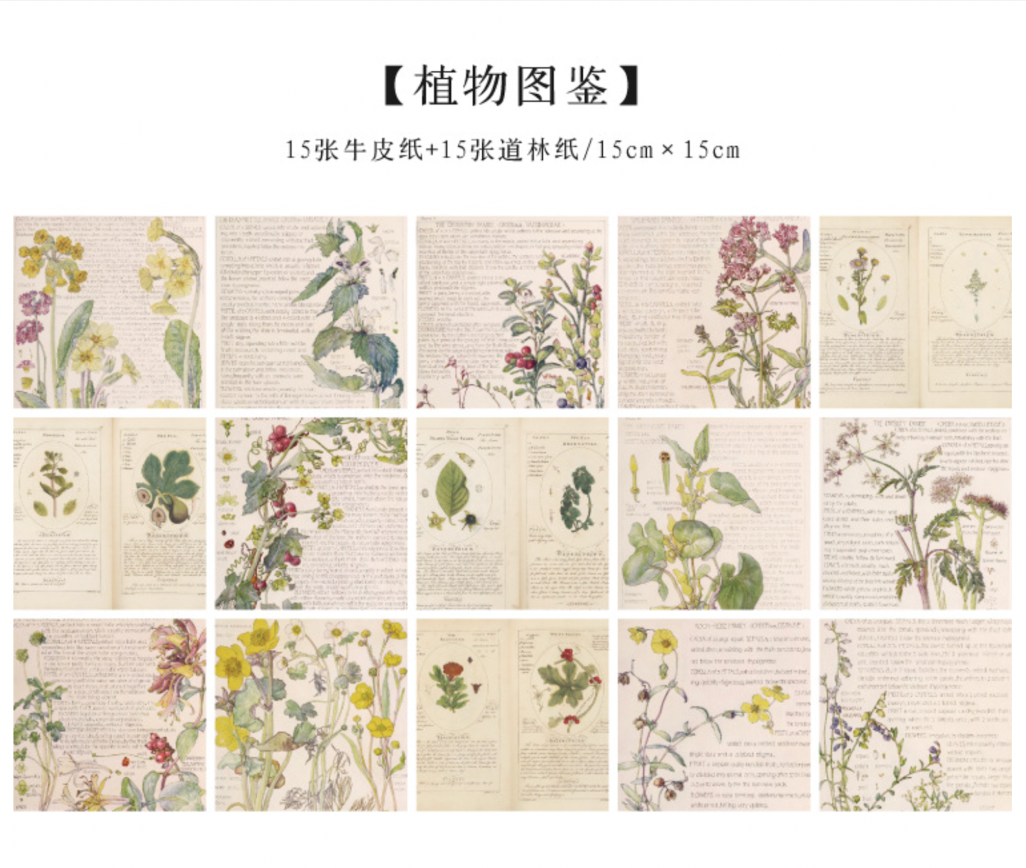 MoCard Background Material Retro Album Series Deco Base Paper