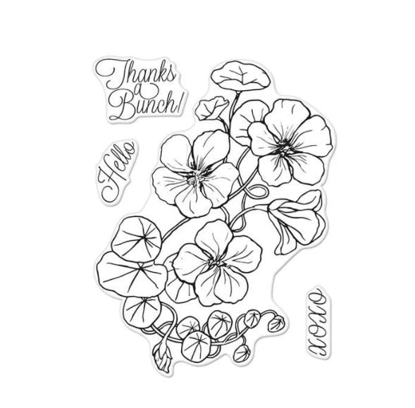 Hero Arts Hero Floral Nasturtium Stamp Set CM263