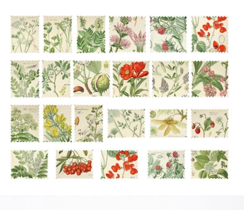 MoCard Natural Hymn Flora Plants Sticker Flakes in a Box