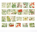 MoCard Natural Hymn Flora Plants Sticker Flakes in a Box