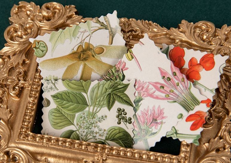 MoCard Natural Hymn Flora Plants Sticker Flakes in a Box