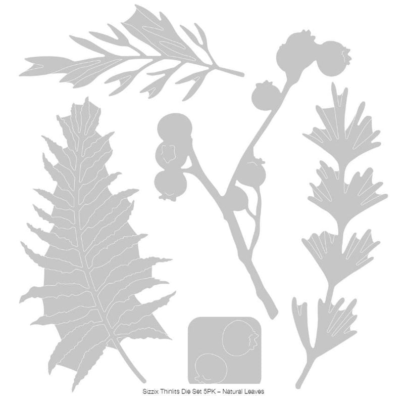 Sizzix Natural Leaves Thinlits Die 5PK by Jen Long
