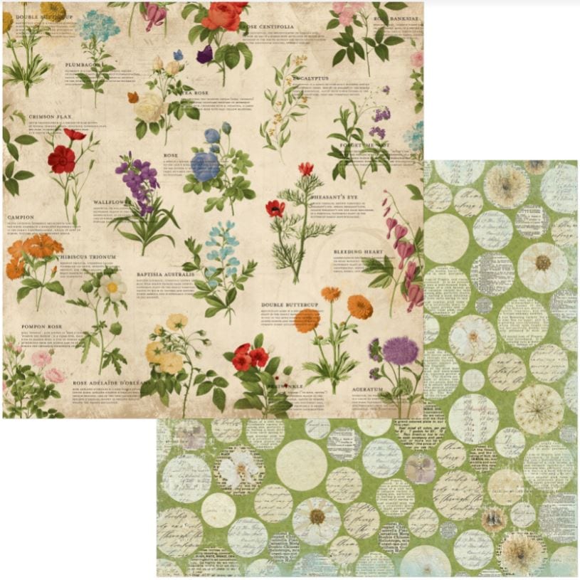 BoBunny Observe Botanical Journal Double-Sided Cardstock 12