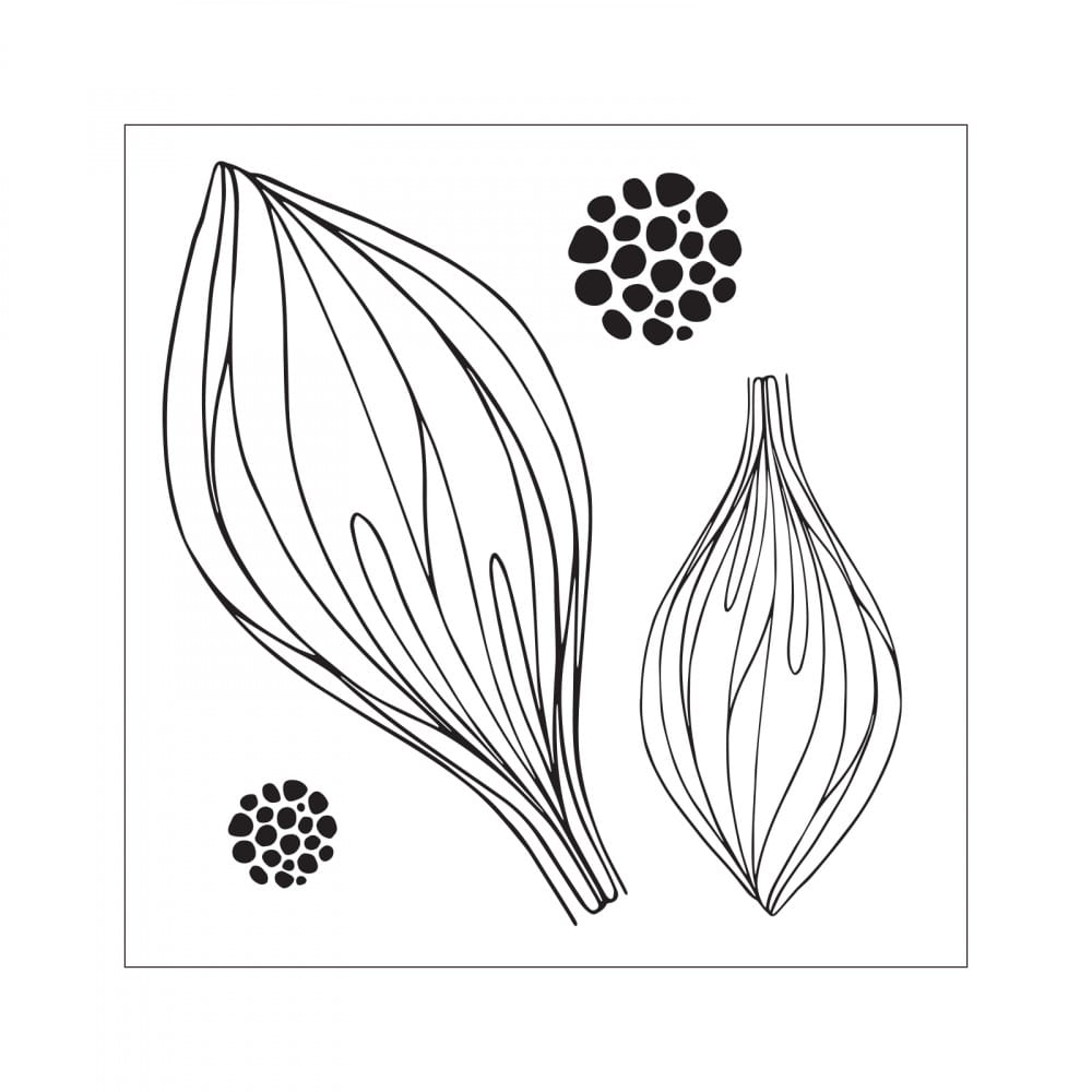 Sizzix Peacock Flower by David Tutera Framelits Die and Stamps