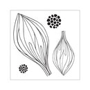 Sizzix Peacock Flower by David Tutera Framelits Die and Stamps