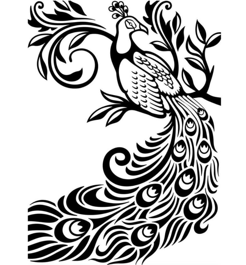 Darice Peacock Embossing Folder 4.25