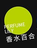 MIYA Art Studio Acrylic Paint 300ML (Option 2)