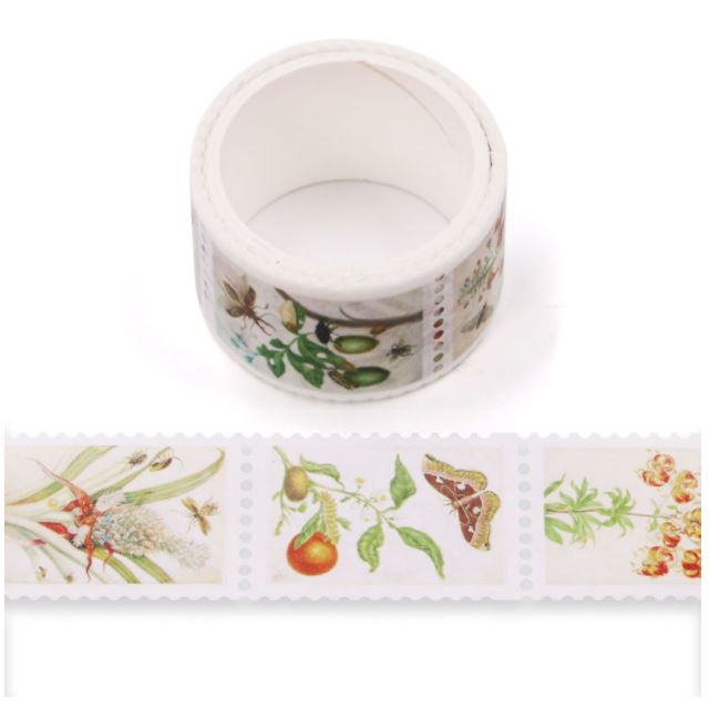 Plant Species Perforated Washi Tape 25mm x 3m