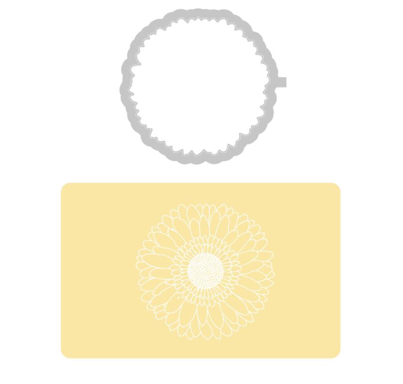 Sizzix Gerbera 3-D Impresslits Embossing Folder by Kath Breen