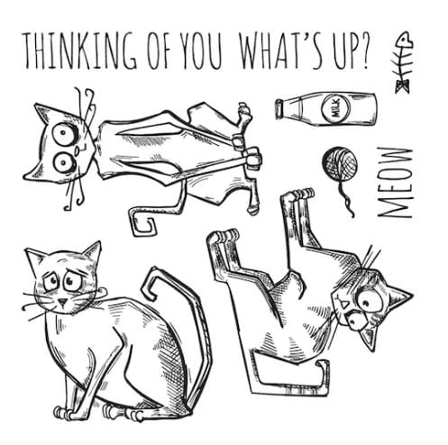 Sizzix Cat Chat Tim Holtz Alterations Stamp, Die & Texture Fade